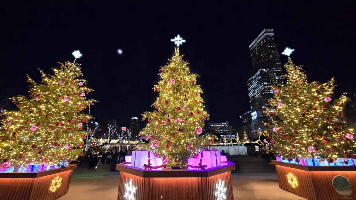 2025年のてんしばクリスマスマーケットを彩った3本のツリー