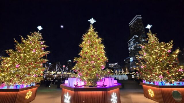 2025年のてんしばクリスマスマーケットを彩った3本のツリー
